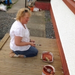 Hilary painting 2012
